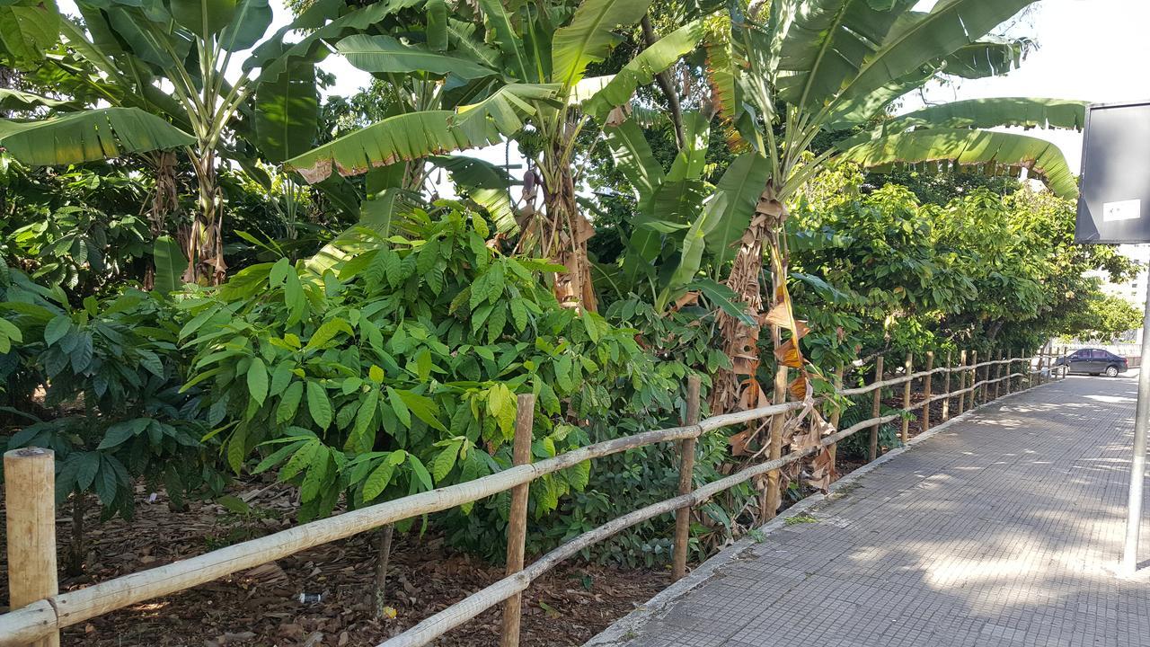 Britania Hotel Ilheus Exterior photo
